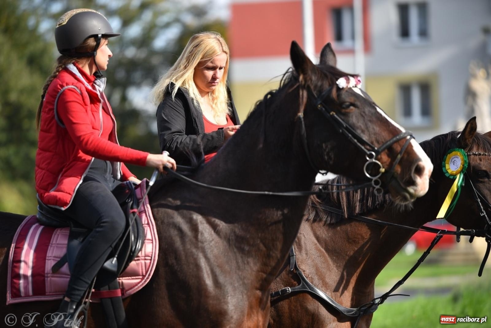 Zdjęcie w galerii na portalu naszraciborz.pl: Hubertus na Huzarskiej na bis – nie tylko tradycja, ale i pomoc dla Amelki [FOTO] wiadomości z regionu