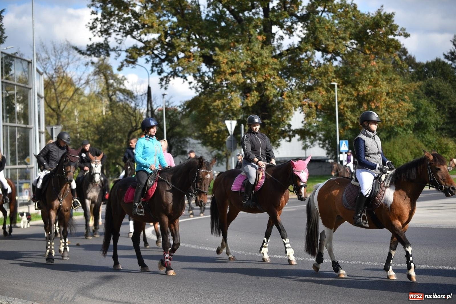Zdjęcie w galerii na portalu naszraciborz.pl: Hubertus na Huzarskiej na bis – nie tylko tradycja, ale i pomoc dla Amelki [FOTO] wiadomości z regionu