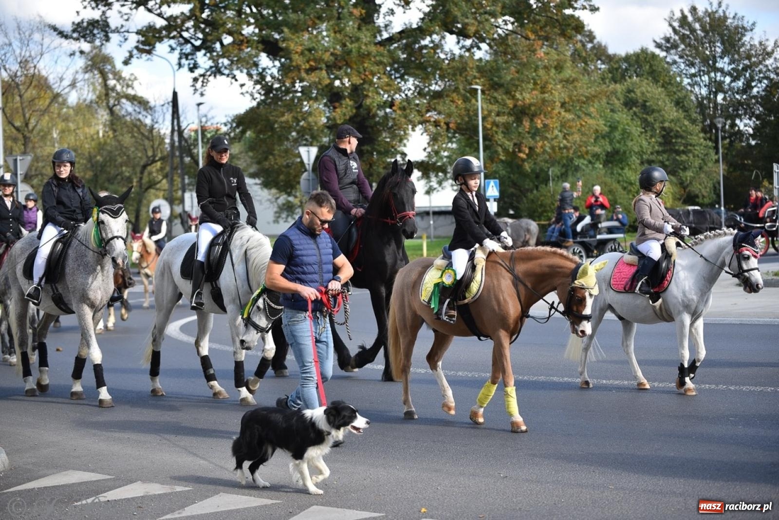 Zdjęcie w galerii na portalu naszraciborz.pl: Hubertus na Huzarskiej na bis – nie tylko tradycja, ale i pomoc dla Amelki [FOTO] wiadomości z regionu