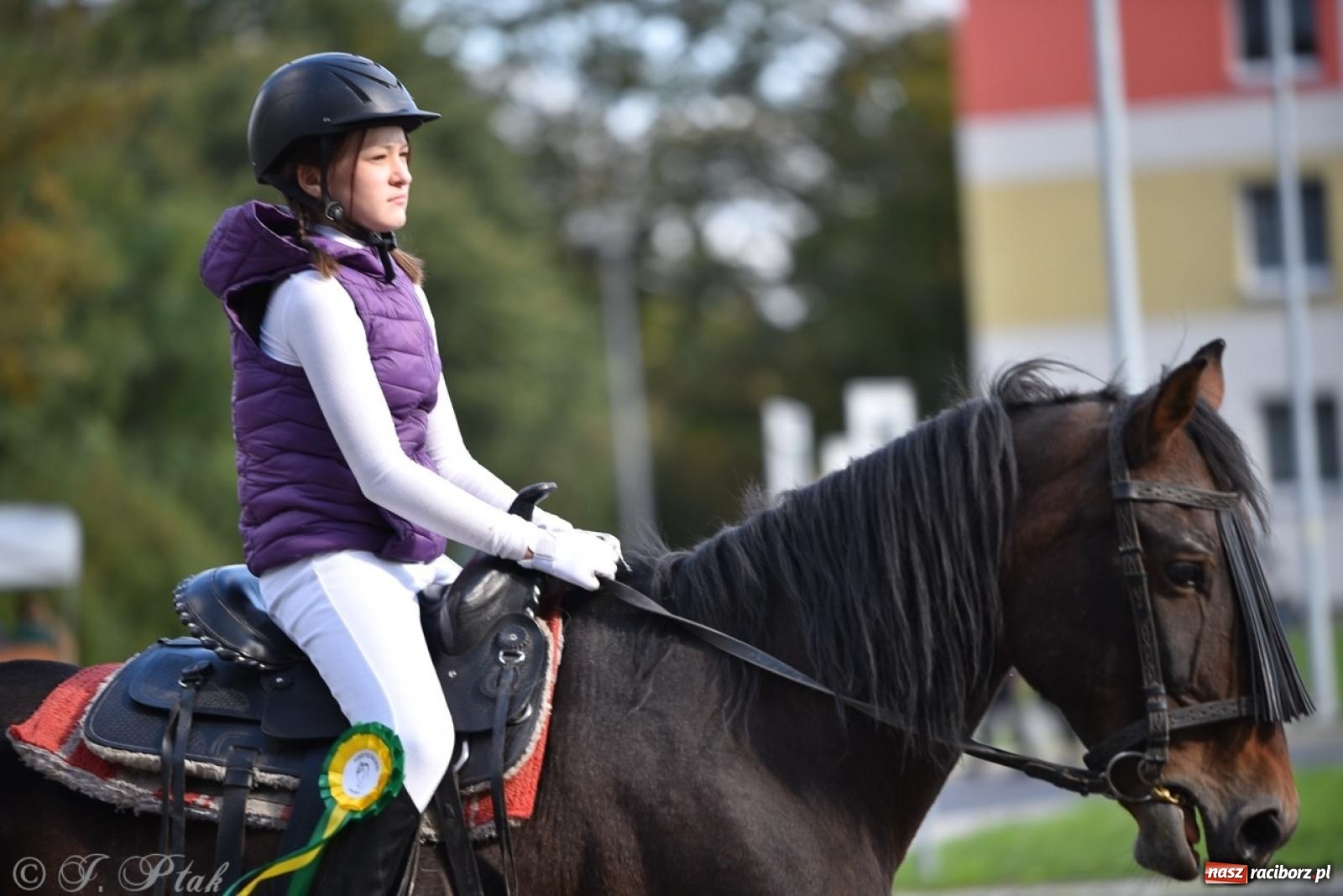 Zdjęcie w galerii na portalu naszraciborz.pl: Hubertus na Huzarskiej na bis – nie tylko tradycja, ale i pomoc dla Amelki [FOTO] wiadomości z regionu