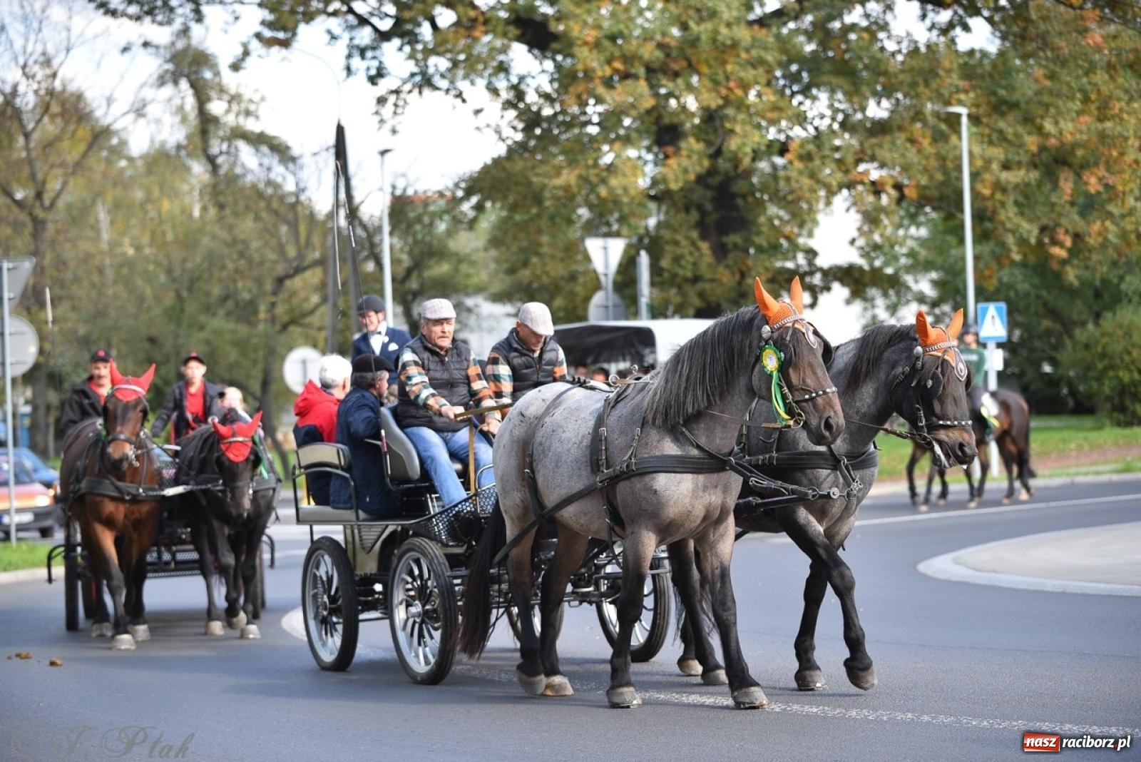 Zdjęcie w galerii na portalu naszraciborz.pl: Hubertus na Huzarskiej na bis – nie tylko tradycja, ale i pomoc dla Amelki [FOTO] wiadomości z regionu