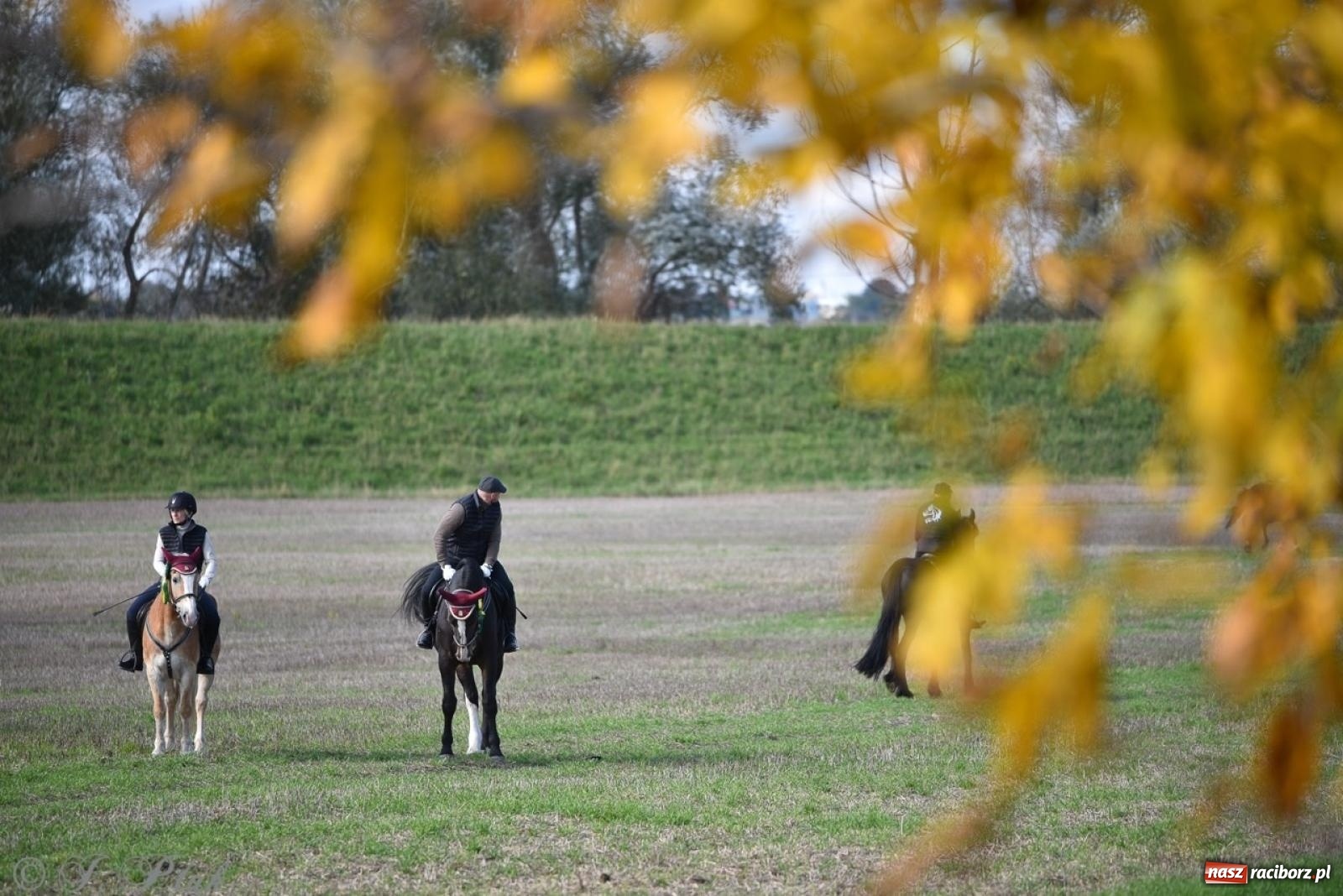 Zdjęcie w galerii na portalu naszraciborz.pl: Hubertus na Huzarskiej na bis – nie tylko tradycja, ale i pomoc dla Amelki [FOTO] wiadomości z regionu