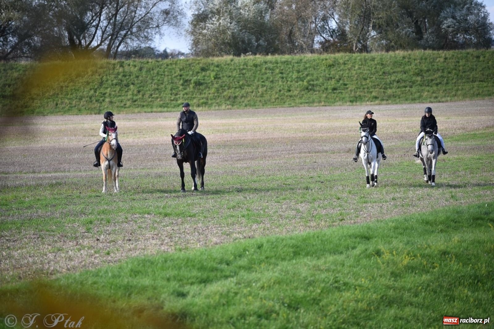 Zdjęcie w galerii na portalu naszraciborz.pl: Hubertus na Huzarskiej na bis – nie tylko tradycja, ale i pomoc dla Amelki [FOTO] wiadomości z regionu