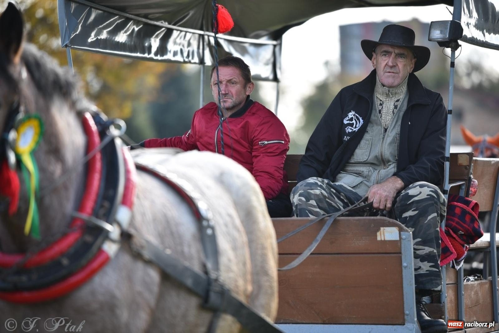 Zdjęcie w galerii na portalu naszraciborz.pl: Hubertus na Huzarskiej na bis – nie tylko tradycja, ale i pomoc dla Amelki [FOTO] wiadomości z regionu
