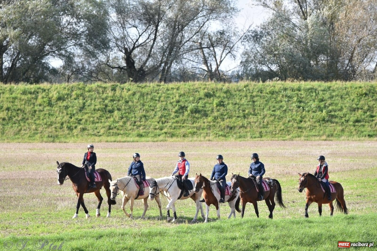 Zdjęcie w galerii na portalu naszraciborz.pl: Hubertus na Huzarskiej na bis – nie tylko tradycja, ale i pomoc dla Amelki [FOTO] wiadomości z regionu