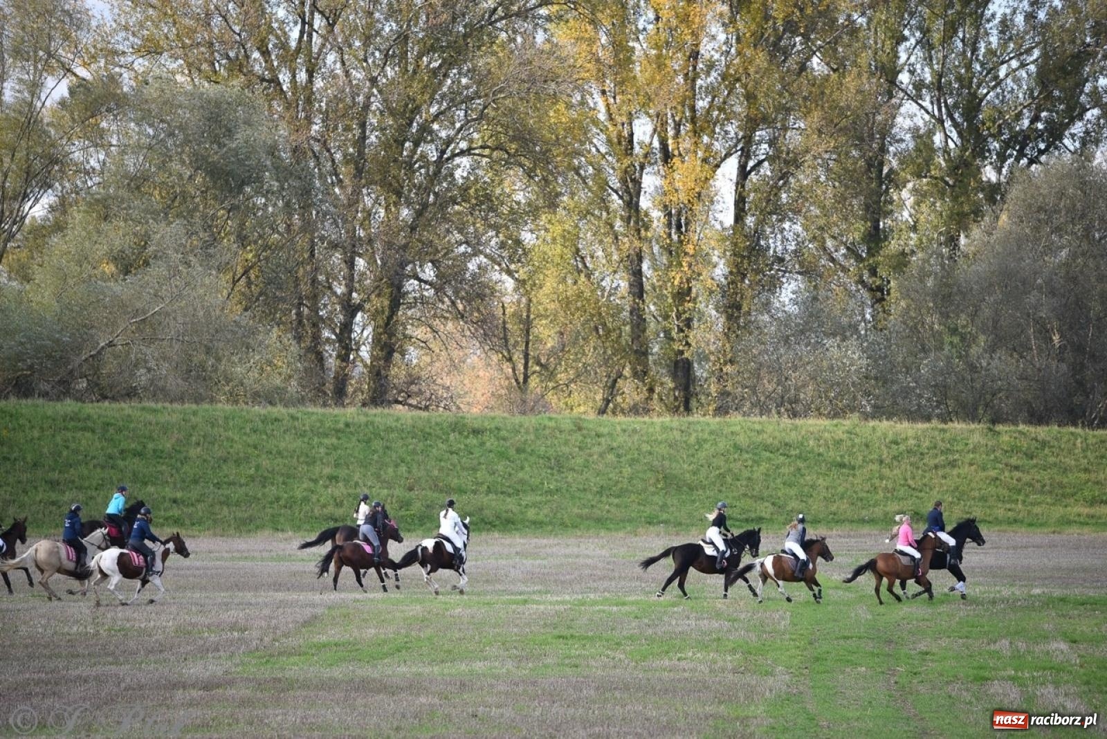 Zdjęcie w galerii na portalu naszraciborz.pl: Hubertus na Huzarskiej na bis – nie tylko tradycja, ale i pomoc dla Amelki [FOTO] wiadomości z regionu