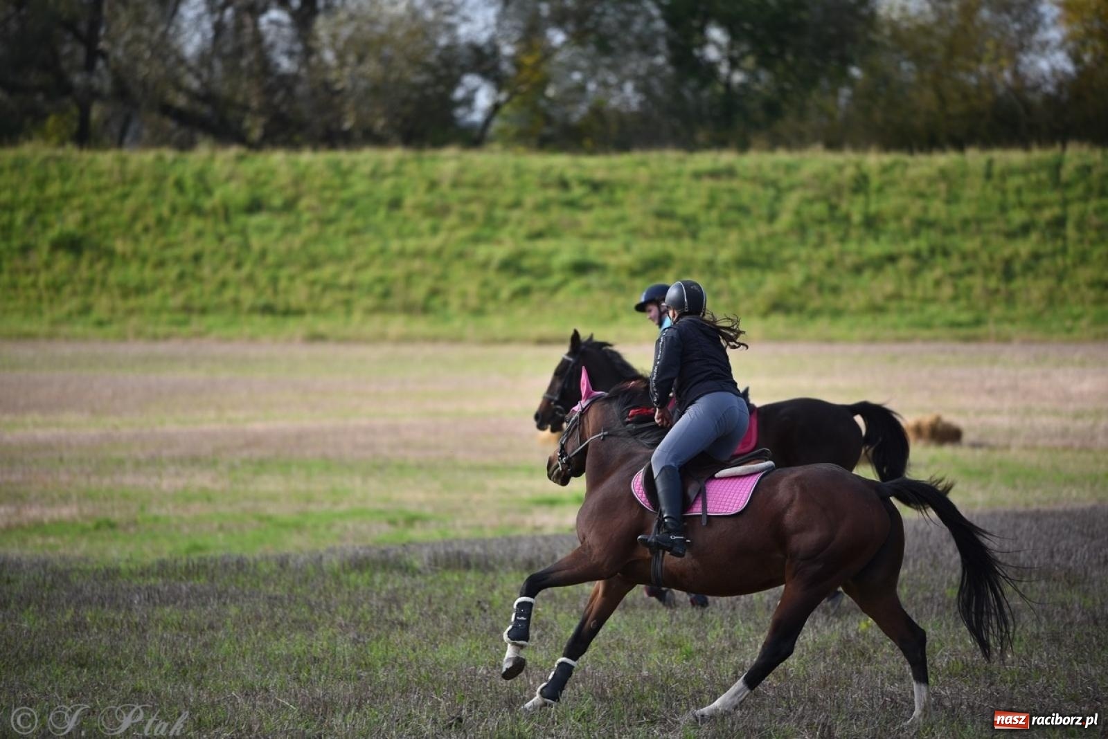 Zdjęcie w galerii na portalu naszraciborz.pl: Hubertus na Huzarskiej na bis – nie tylko tradycja, ale i pomoc dla Amelki [FOTO] wiadomości z regionu