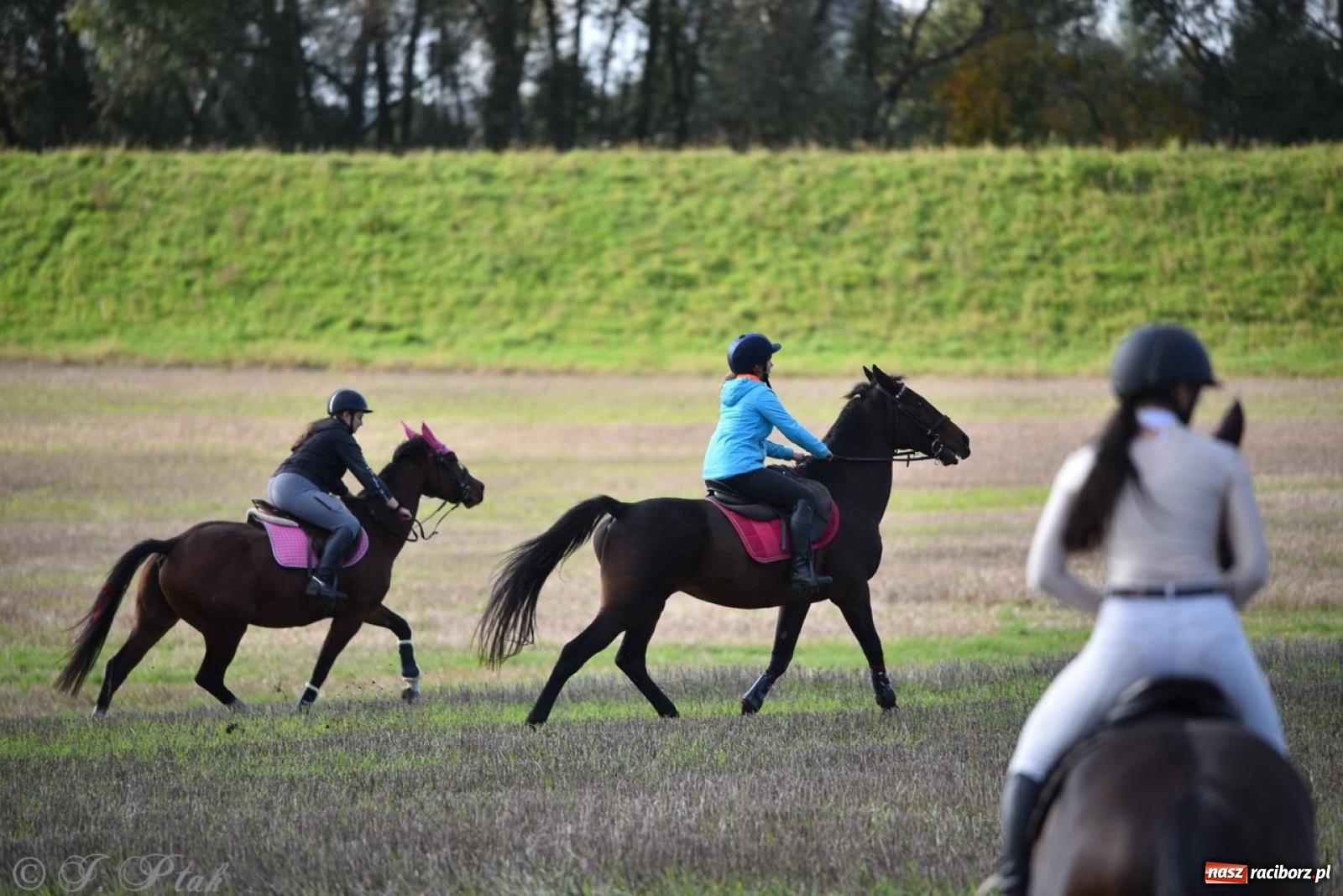 Zdjęcie w galerii na portalu naszraciborz.pl: Hubertus na Huzarskiej na bis – nie tylko tradycja, ale i pomoc dla Amelki [FOTO] wiadomości z regionu