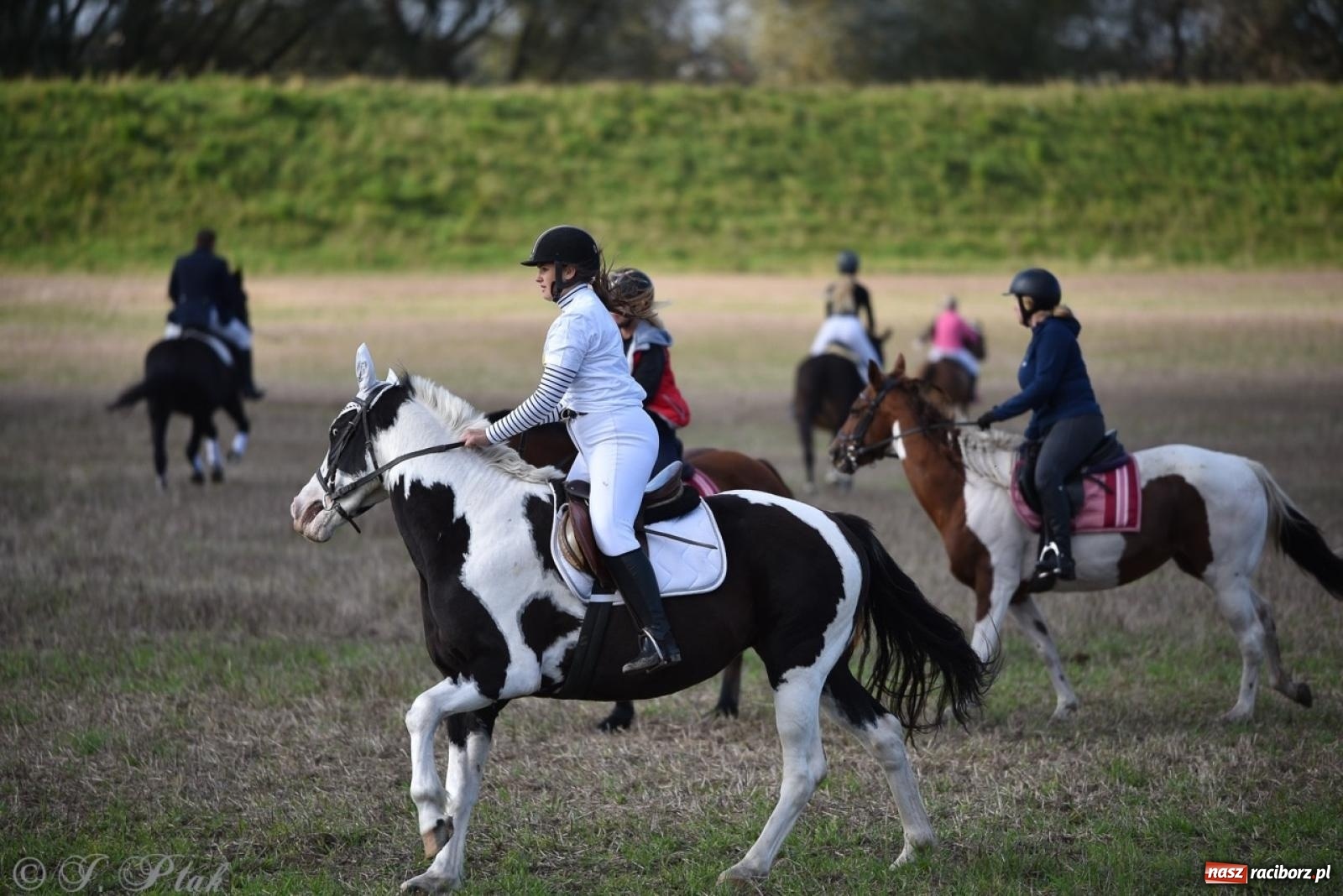 Zdjęcie w galerii na portalu naszraciborz.pl: Hubertus na Huzarskiej na bis – nie tylko tradycja, ale i pomoc dla Amelki [FOTO] wiadomości z regionu