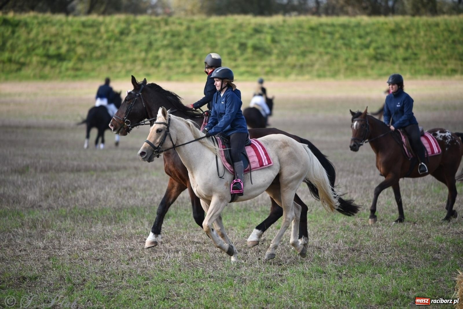Zdjęcie w galerii na portalu naszraciborz.pl: Hubertus na Huzarskiej na bis – nie tylko tradycja, ale i pomoc dla Amelki [FOTO] wiadomości z regionu