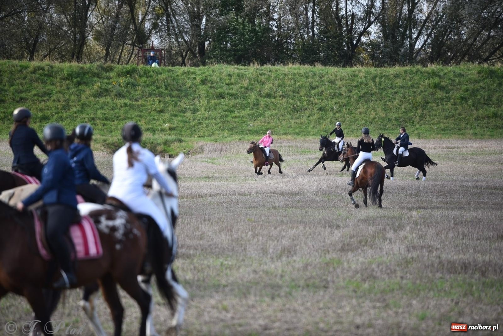 Zdjęcie w galerii na portalu naszraciborz.pl: Hubertus na Huzarskiej na bis – nie tylko tradycja, ale i pomoc dla Amelki [FOTO] wiadomości z regionu
