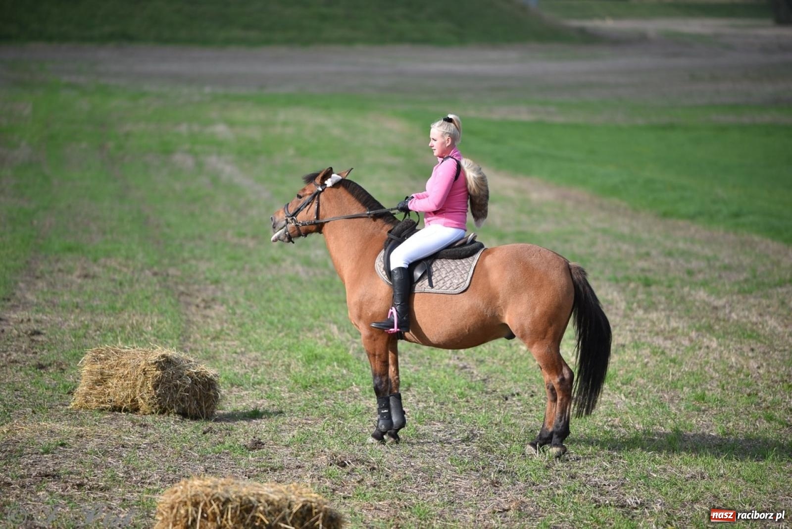 Zdjęcie w galerii na portalu naszraciborz.pl: Hubertus na Huzarskiej na bis – nie tylko tradycja, ale i pomoc dla Amelki [FOTO] wiadomości z regionu