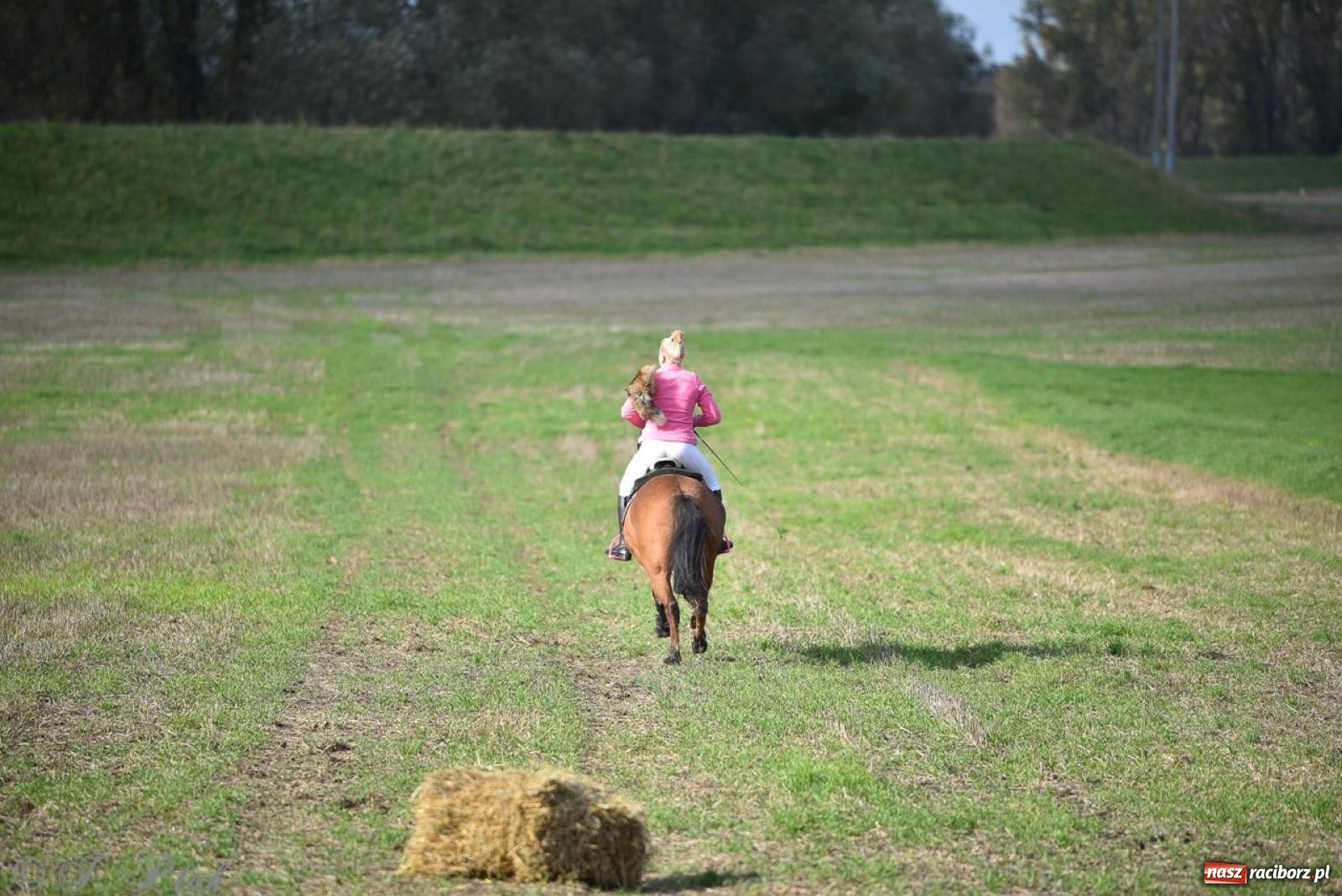 Zdjęcie w galerii na portalu naszraciborz.pl: Hubertus na Huzarskiej na bis – nie tylko tradycja, ale i pomoc dla Amelki [FOTO] wiadomości z regionu
