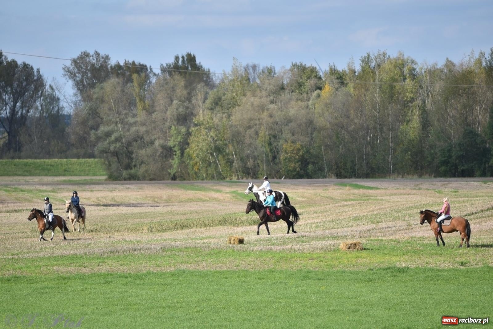 Zdjęcie w galerii na portalu naszraciborz.pl: Hubertus na Huzarskiej na bis – nie tylko tradycja, ale i pomoc dla Amelki [FOTO] wiadomości z regionu