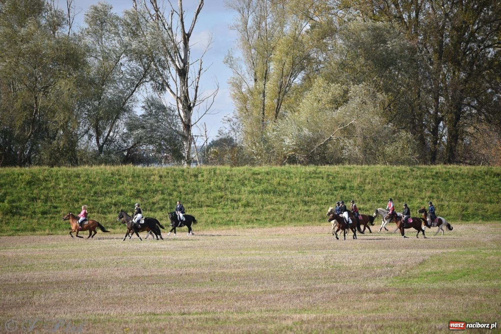 Zdjęcie w galerii na portalu naszraciborz.pl: Hubertus na Huzarskiej na bis – nie tylko tradycja, ale i pomoc dla Amelki [FOTO] wiadomości z regionu