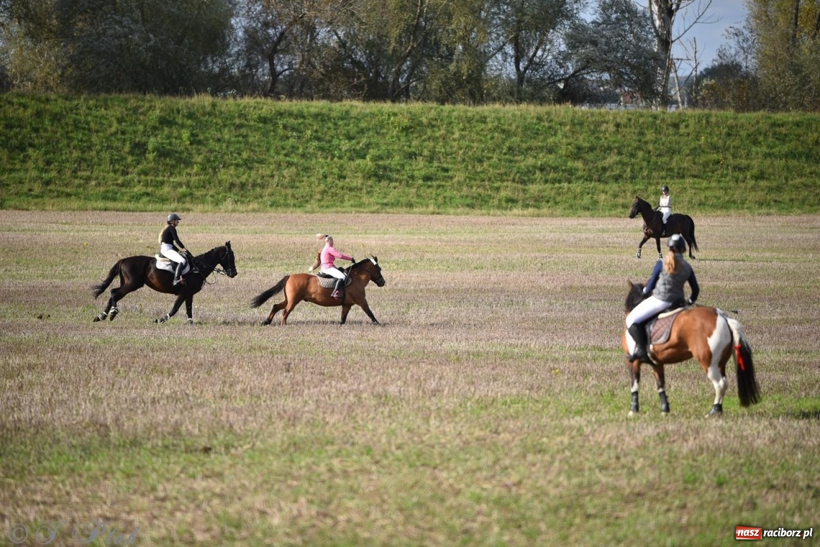 Zdjęcie w galerii na portalu naszraciborz.pl: Hubertus na Huzarskiej na bis – nie tylko tradycja, ale i pomoc dla Amelki [FOTO] wiadomości z regionu