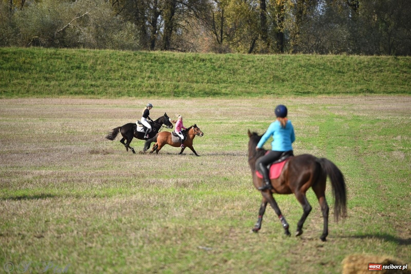 Zdjęcie w galerii na portalu naszraciborz.pl: Hubertus na Huzarskiej na bis – nie tylko tradycja, ale i pomoc dla Amelki [FOTO] wiadomości z regionu