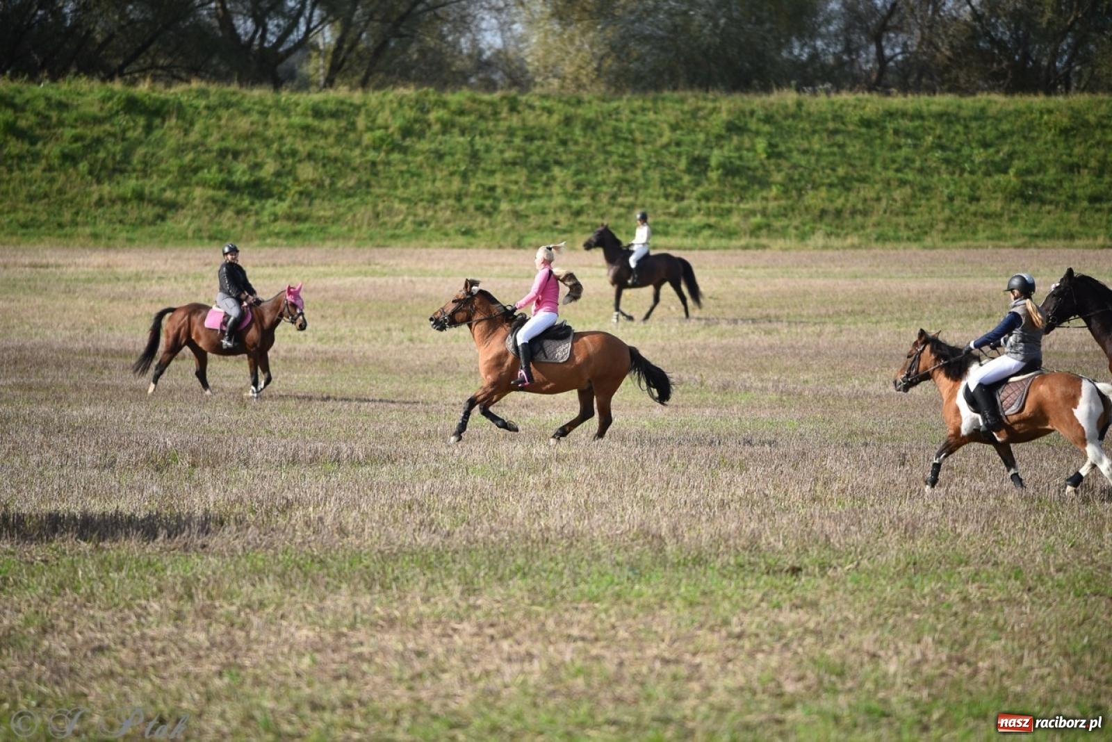 Zdjęcie w galerii na portalu naszraciborz.pl: Hubertus na Huzarskiej na bis – nie tylko tradycja, ale i pomoc dla Amelki [FOTO] wiadomości z regionu