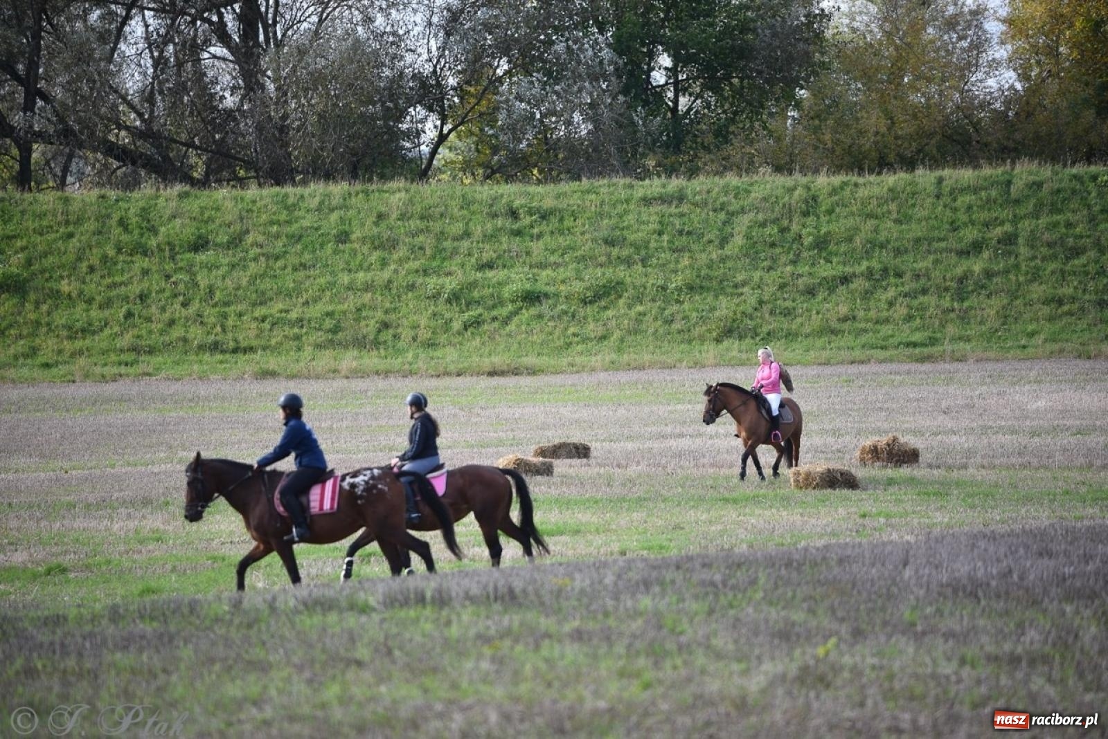 Zdjęcie w galerii na portalu naszraciborz.pl: Hubertus na Huzarskiej na bis – nie tylko tradycja, ale i pomoc dla Amelki [FOTO] wiadomości z regionu
