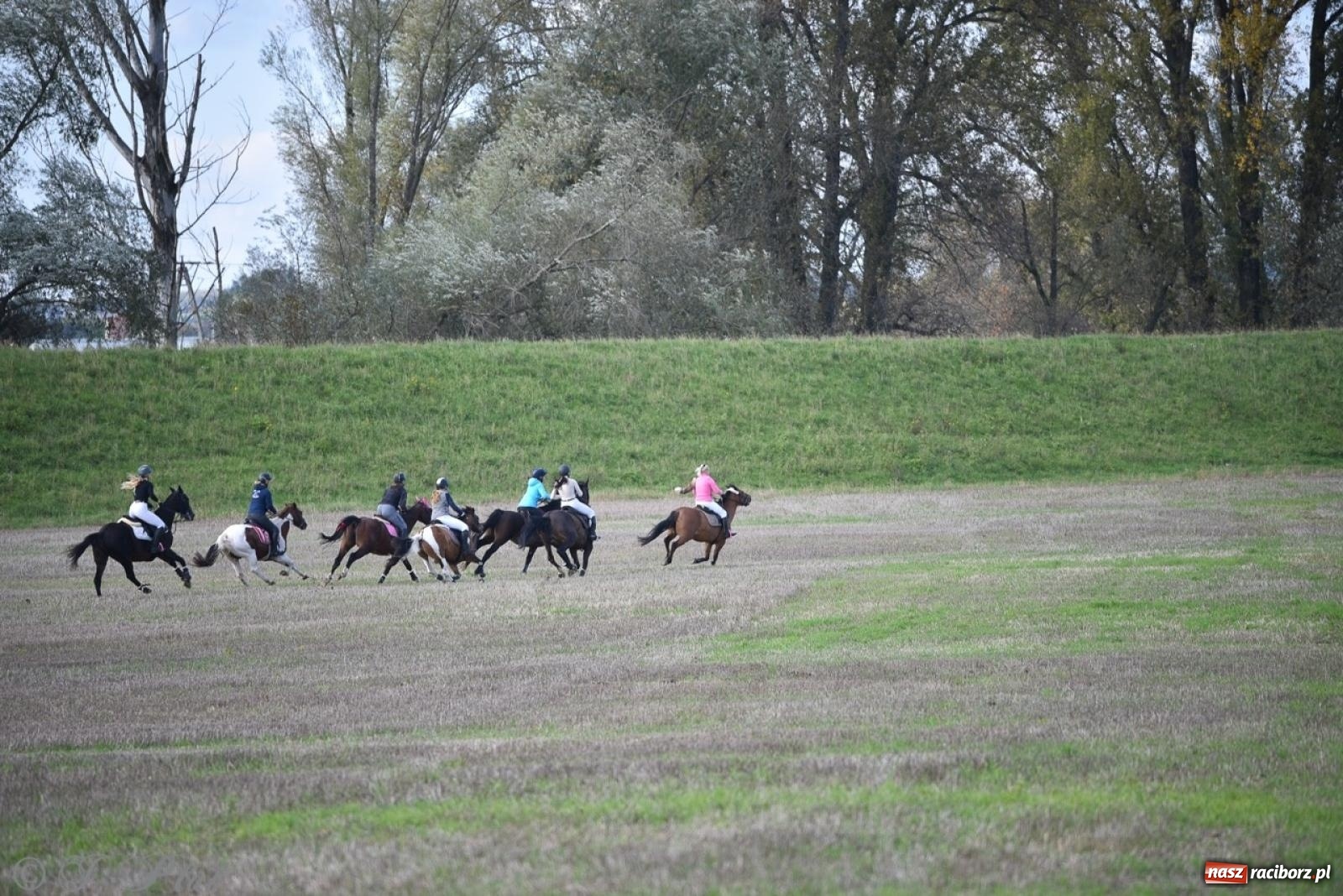 Zdjęcie w galerii na portalu naszraciborz.pl: Hubertus na Huzarskiej na bis – nie tylko tradycja, ale i pomoc dla Amelki [FOTO] wiadomości z regionu