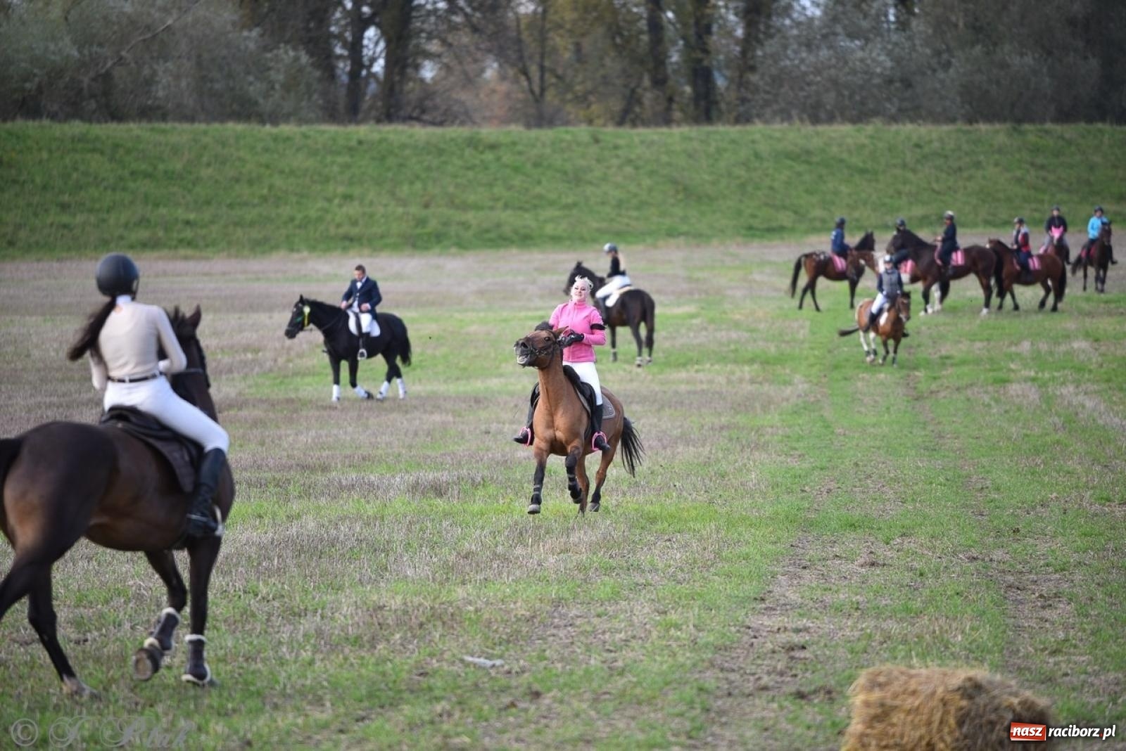 Zdjęcie w galerii na portalu naszraciborz.pl: Hubertus na Huzarskiej na bis – nie tylko tradycja, ale i pomoc dla Amelki [FOTO] wiadomości z regionu
