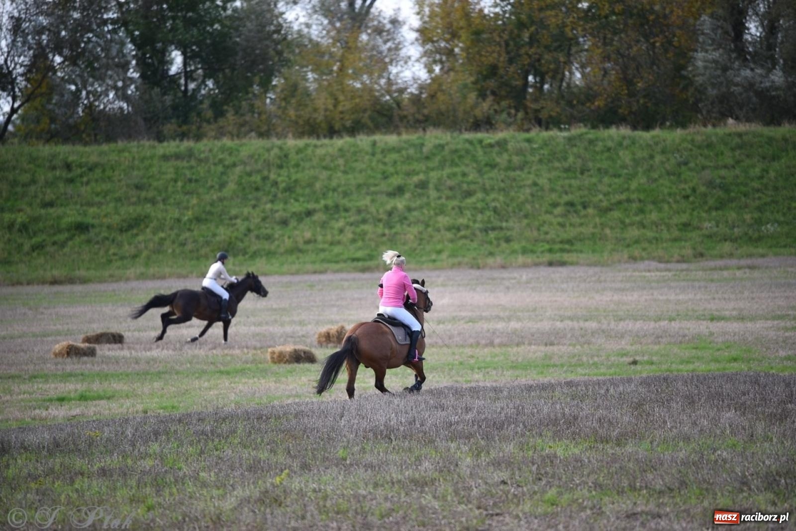 Zdjęcie w galerii na portalu naszraciborz.pl: Hubertus na Huzarskiej na bis – nie tylko tradycja, ale i pomoc dla Amelki [FOTO] wiadomości z regionu