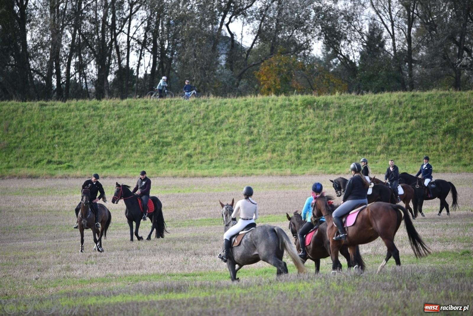 Zdjęcie w galerii na portalu naszraciborz.pl: Hubertus na Huzarskiej na bis – nie tylko tradycja, ale i pomoc dla Amelki [FOTO] wiadomości z regionu