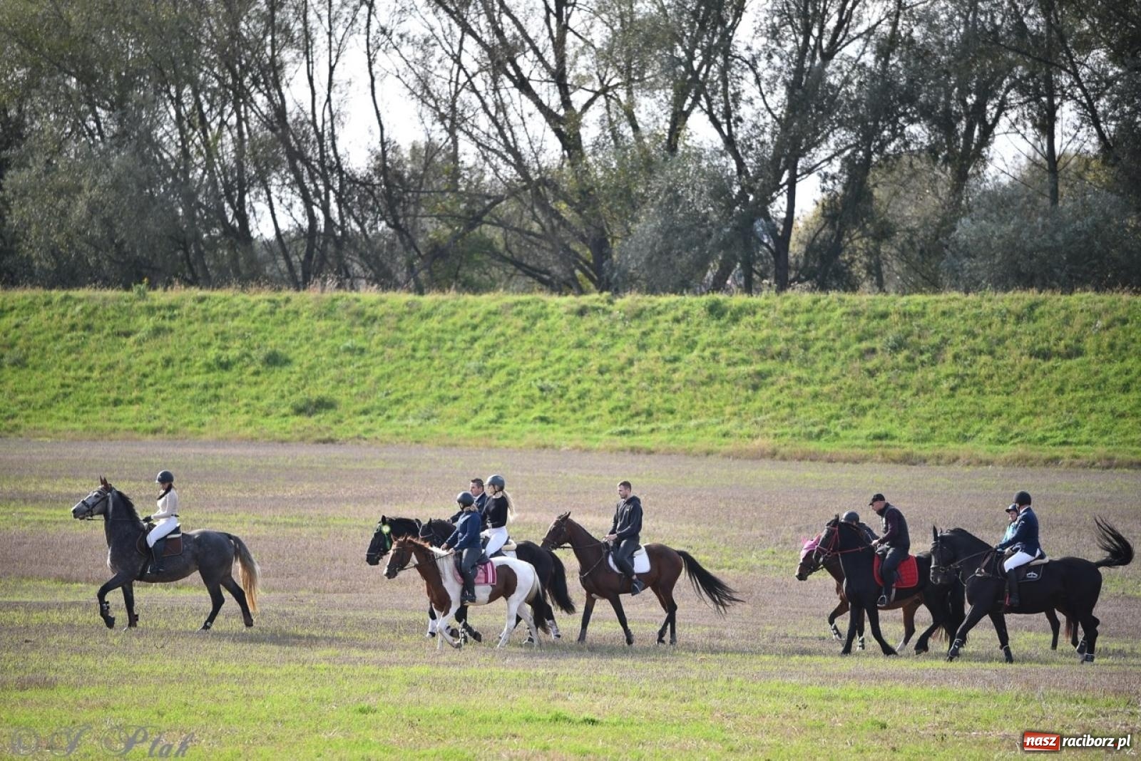Zdjęcie w galerii na portalu naszraciborz.pl: Hubertus na Huzarskiej na bis – nie tylko tradycja, ale i pomoc dla Amelki [FOTO] wiadomości z regionu