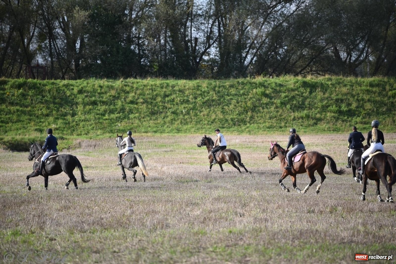 Zdjęcie w galerii na portalu naszraciborz.pl: Hubertus na Huzarskiej na bis – nie tylko tradycja, ale i pomoc dla Amelki [FOTO] wiadomości z regionu