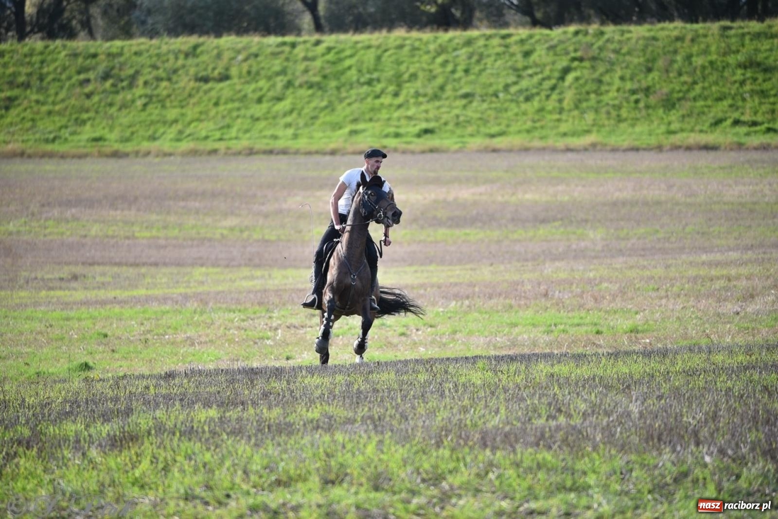 Zdjęcie w galerii na portalu naszraciborz.pl: Hubertus na Huzarskiej na bis – nie tylko tradycja, ale i pomoc dla Amelki [FOTO] wiadomości z regionu