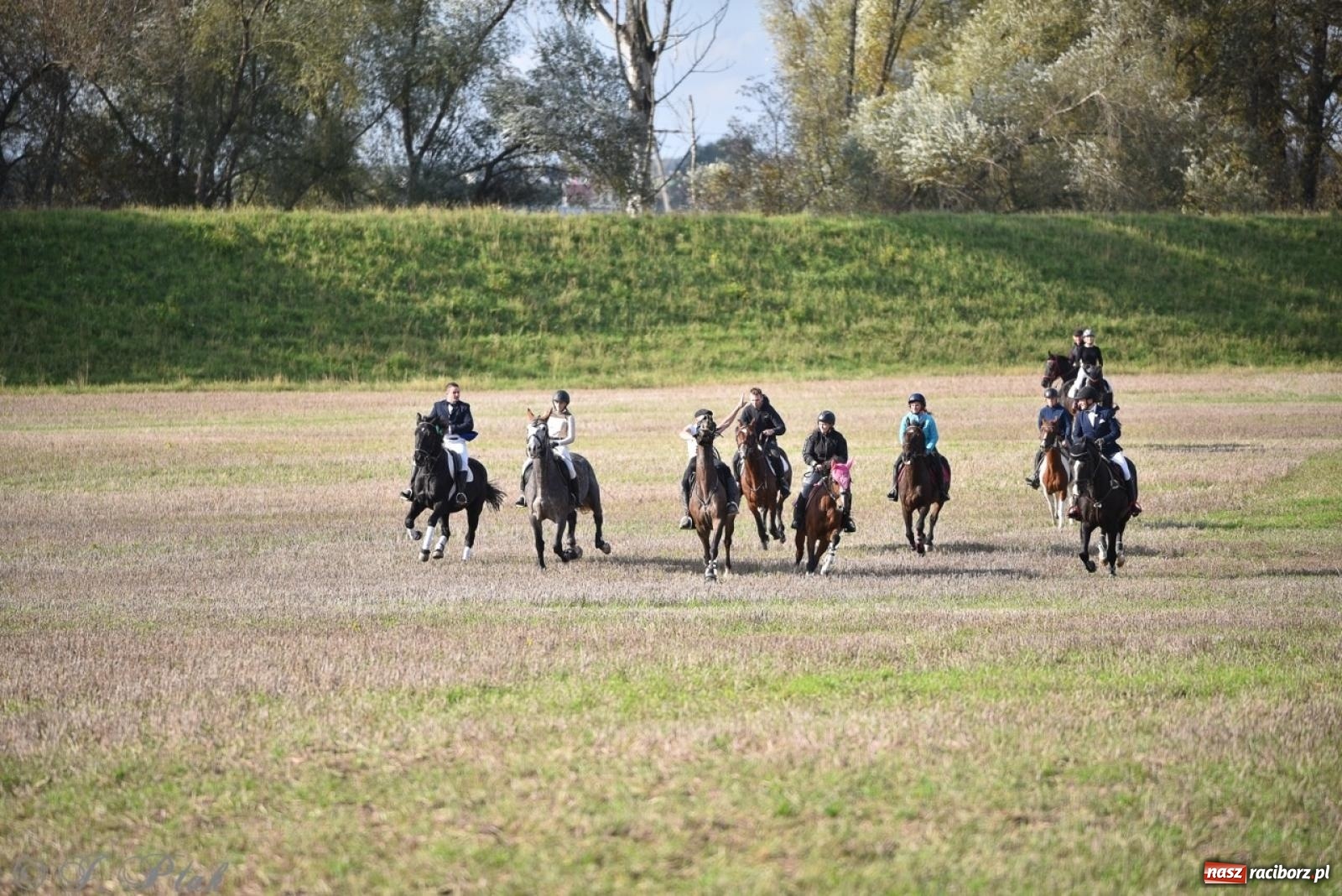Zdjęcie w galerii na portalu naszraciborz.pl: Hubertus na Huzarskiej na bis – nie tylko tradycja, ale i pomoc dla Amelki [FOTO] wiadomości z regionu