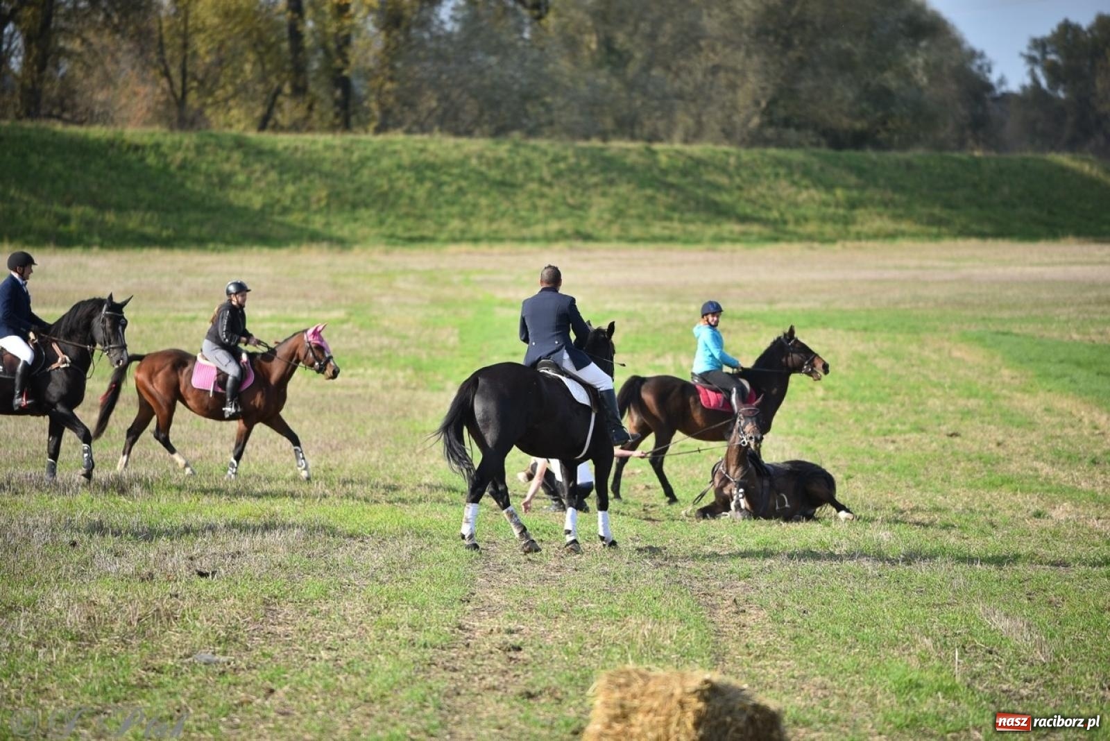 Zdjęcie w galerii na portalu naszraciborz.pl: Hubertus na Huzarskiej na bis – nie tylko tradycja, ale i pomoc dla Amelki [FOTO] wiadomości z regionu