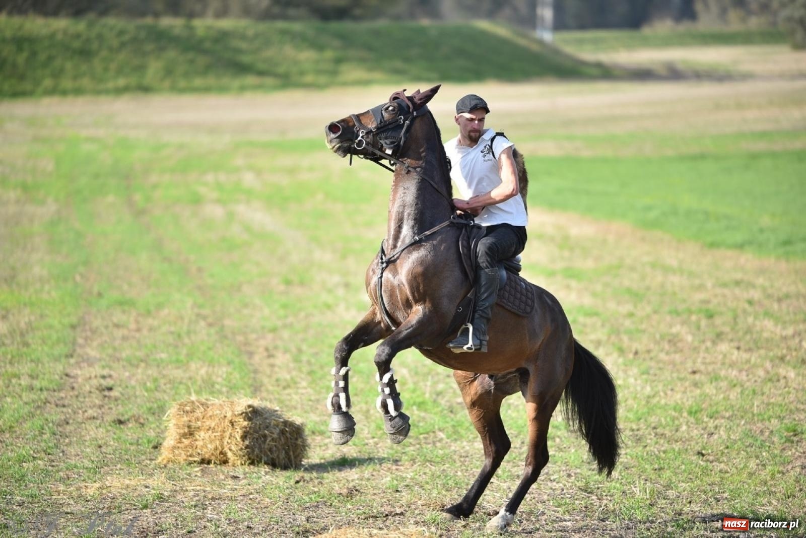 Zdjęcie w galerii na portalu naszraciborz.pl: Hubertus na Huzarskiej na bis – nie tylko tradycja, ale i pomoc dla Amelki [FOTO] wiadomości z regionu