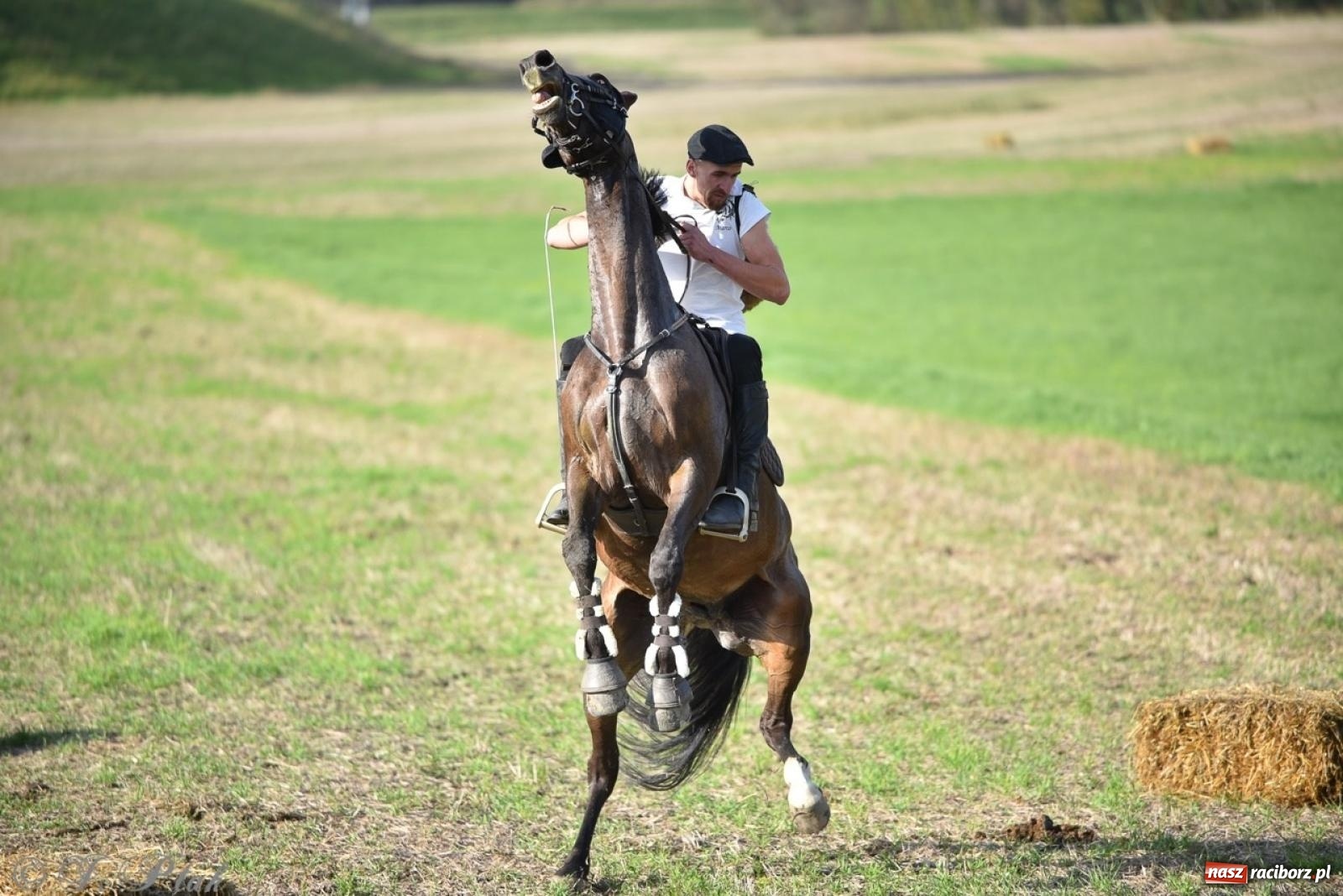 Zdjęcie w galerii na portalu naszraciborz.pl: Hubertus na Huzarskiej na bis – nie tylko tradycja, ale i pomoc dla Amelki [FOTO] wiadomości z regionu