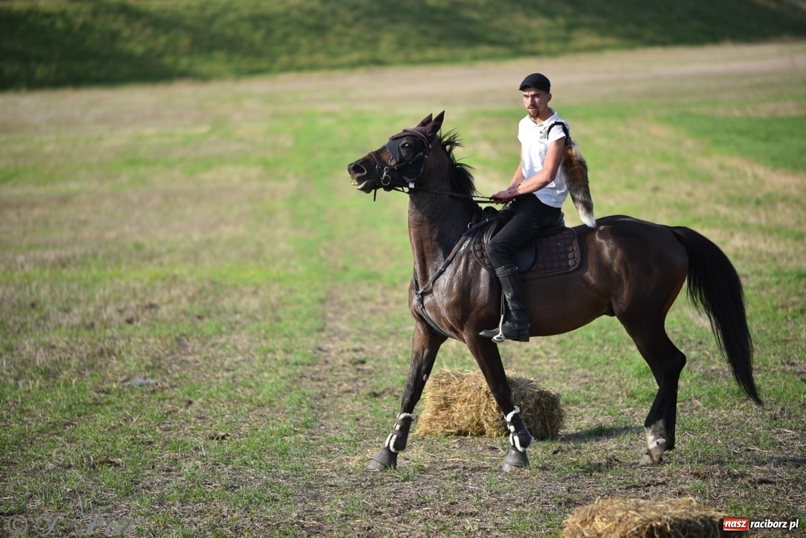 Zdjęcie w galerii na portalu naszraciborz.pl: Hubertus na Huzarskiej na bis – nie tylko tradycja, ale i pomoc dla Amelki [FOTO] wiadomości z regionu