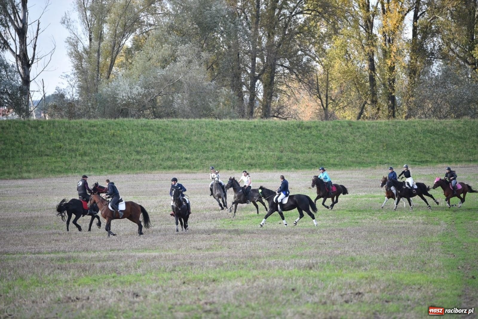 Zdjęcie w galerii na portalu naszraciborz.pl: Hubertus na Huzarskiej na bis – nie tylko tradycja, ale i pomoc dla Amelki [FOTO] wiadomości z regionu