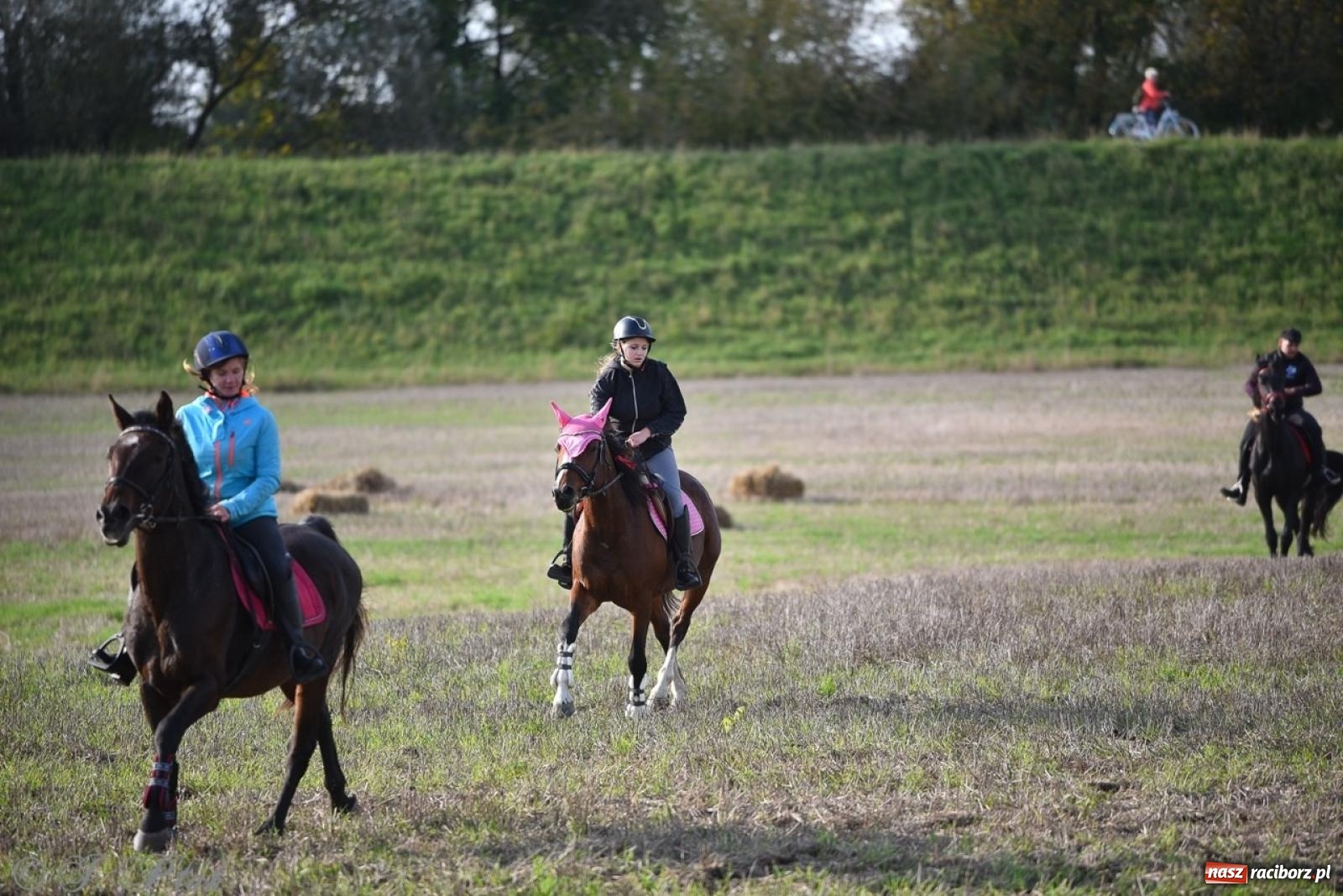 Zdjęcie w galerii na portalu naszraciborz.pl: Hubertus na Huzarskiej na bis – nie tylko tradycja, ale i pomoc dla Amelki [FOTO] wiadomości z regionu