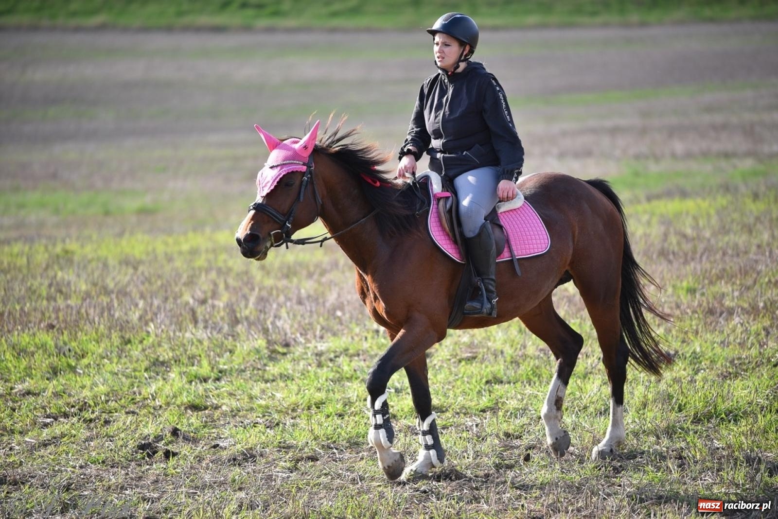 Zdjęcie w galerii na portalu naszraciborz.pl: Hubertus na Huzarskiej na bis – nie tylko tradycja, ale i pomoc dla Amelki [FOTO] wiadomości z regionu