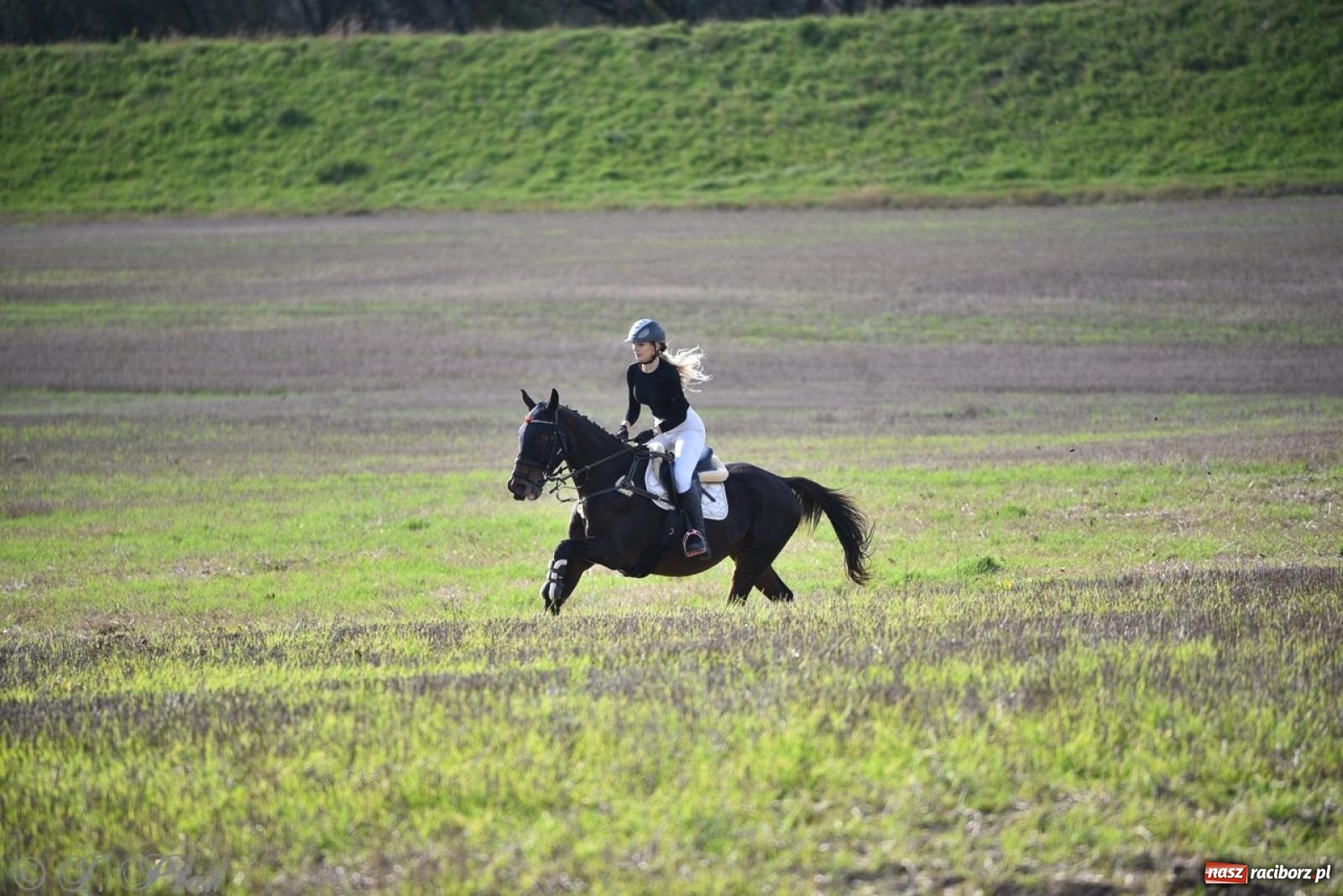 Zdjęcie w galerii na portalu naszraciborz.pl: Hubertus na Huzarskiej na bis – nie tylko tradycja, ale i pomoc dla Amelki [FOTO] wiadomości z regionu