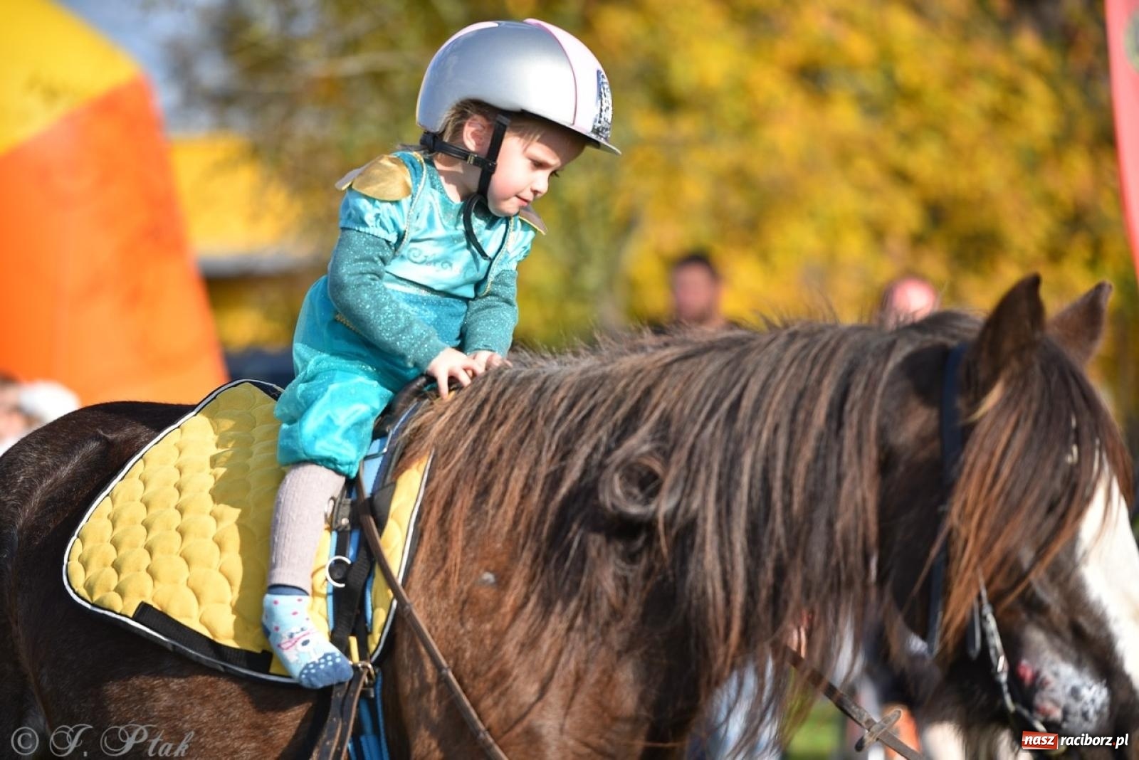 Zdjęcie w galerii na portalu naszraciborz.pl: Hubertus na Huzarskiej na bis – nie tylko tradycja, ale i pomoc dla Amelki [FOTO] wiadomości z regionu