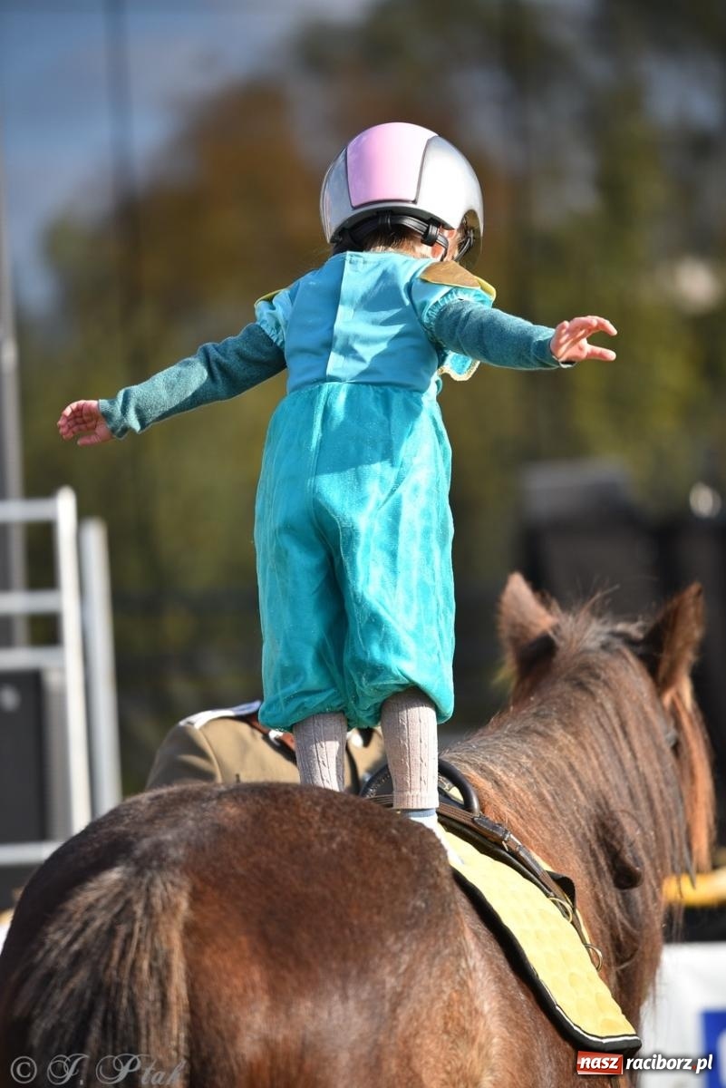 Zdjęcie w galerii na portalu naszraciborz.pl: Hubertus na Huzarskiej na bis – nie tylko tradycja, ale i pomoc dla Amelki [FOTO] wiadomości z regionu