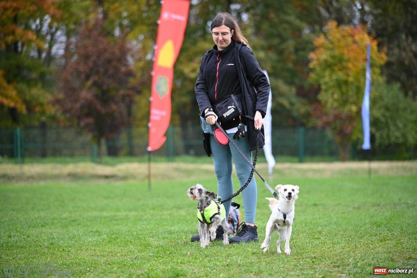 Zdjęcie w galerii na portalu naszraciborz.pl: Niedzielny dogtrekking. Bieg i spacer z psami wsparciem dla zwierząt OTOZ Animals wiadomości z regionu
