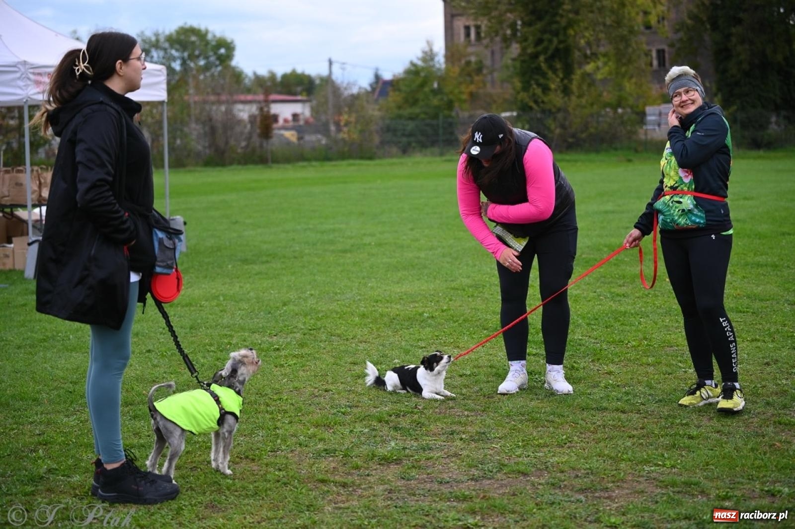 Zdjęcie w galerii na portalu naszraciborz.pl: Niedzielny dogtrekking. Bieg i spacer z psami wsparciem dla zwierząt OTOZ Animals wiadomości z regionu