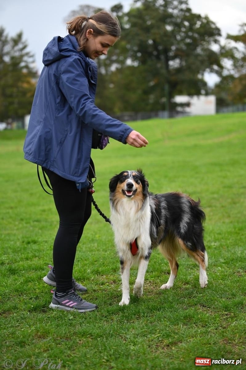 Zdjęcie w galerii na portalu naszraciborz.pl: Niedzielny dogtrekking. Bieg i spacer z psami wsparciem dla zwierząt OTOZ Animals wiadomości z regionu