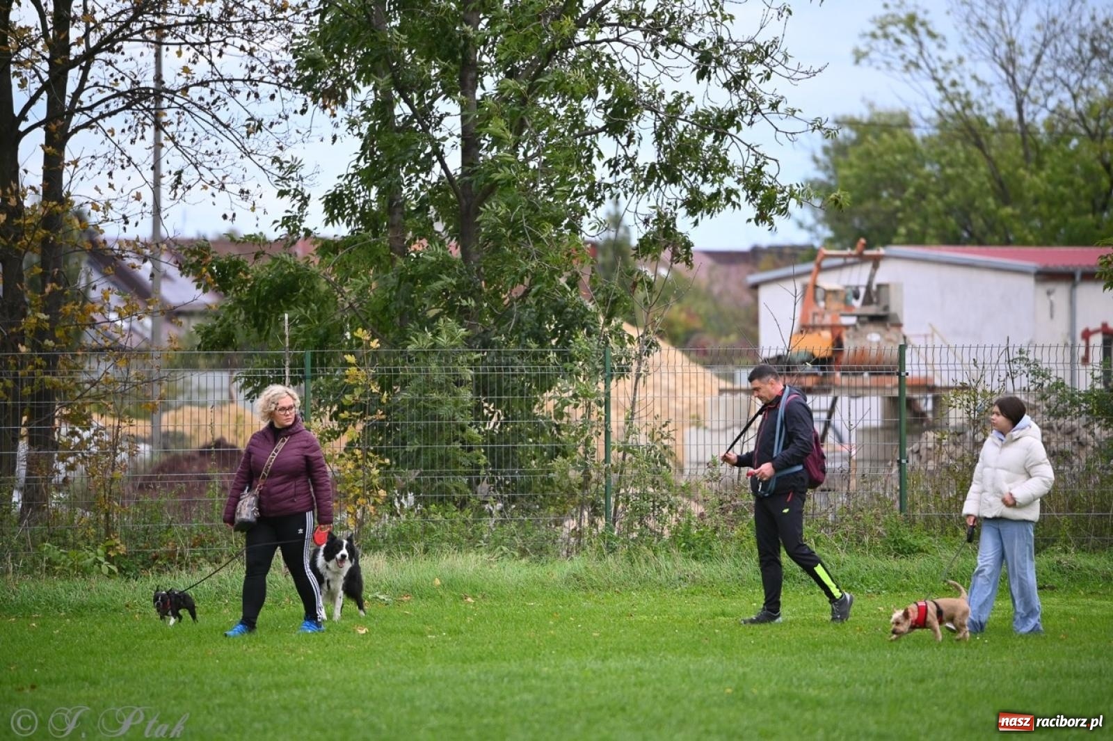 Zdjęcie w galerii na portalu naszraciborz.pl: Niedzielny dogtrekking. Bieg i spacer z psami wsparciem dla zwierząt OTOZ Animals wiadomości z regionu