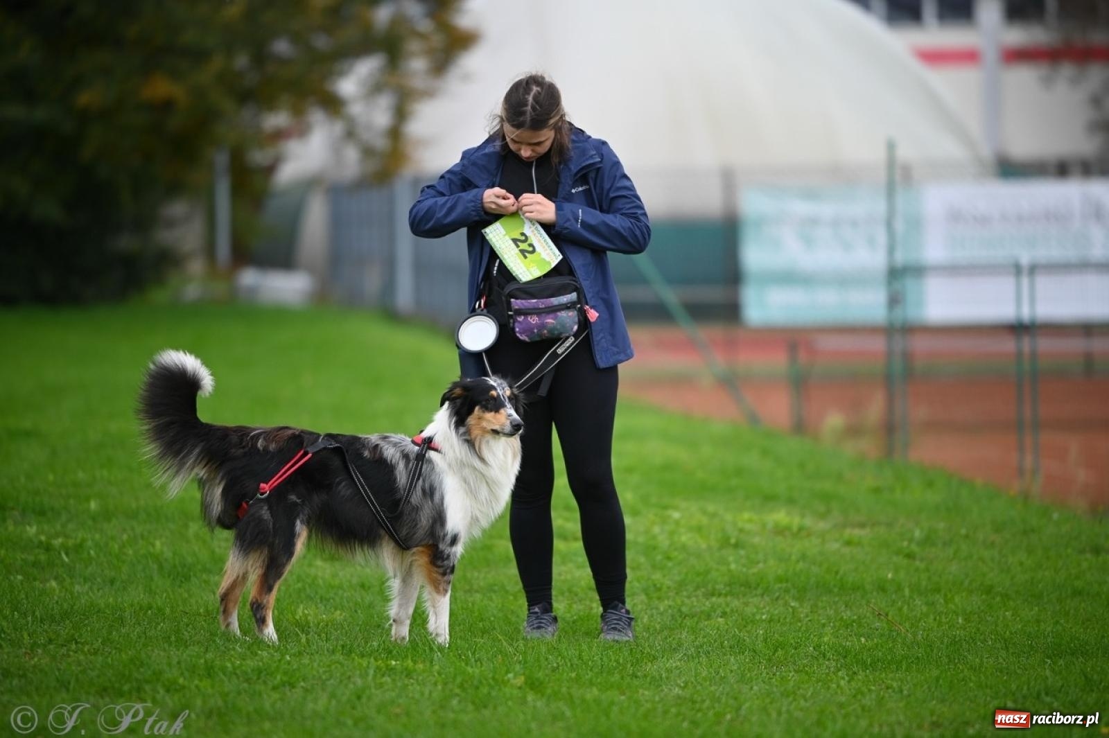 Zdjęcie w galerii na portalu naszraciborz.pl: Niedzielny dogtrekking. Bieg i spacer z psami wsparciem dla zwierząt OTOZ Animals wiadomości z regionu