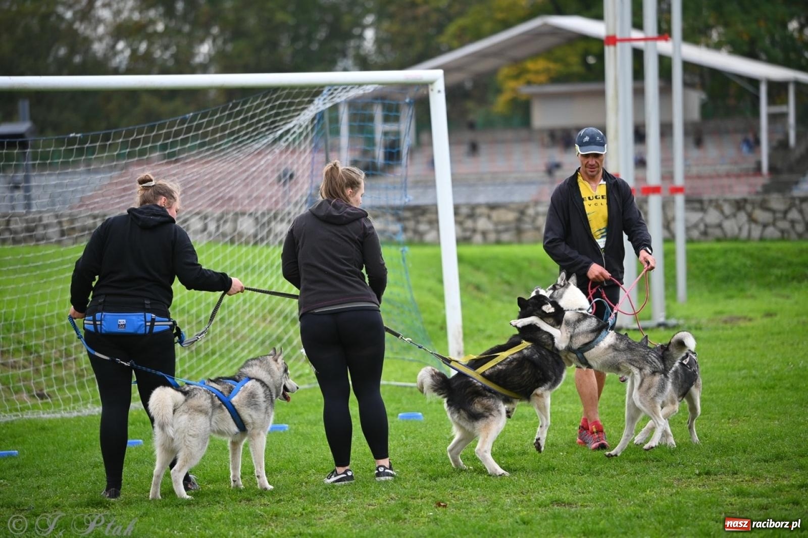 Zdjęcie w galerii na portalu naszraciborz.pl: Niedzielny dogtrekking. Bieg i spacer z psami wsparciem dla zwierząt OTOZ Animals wiadomości z regionu