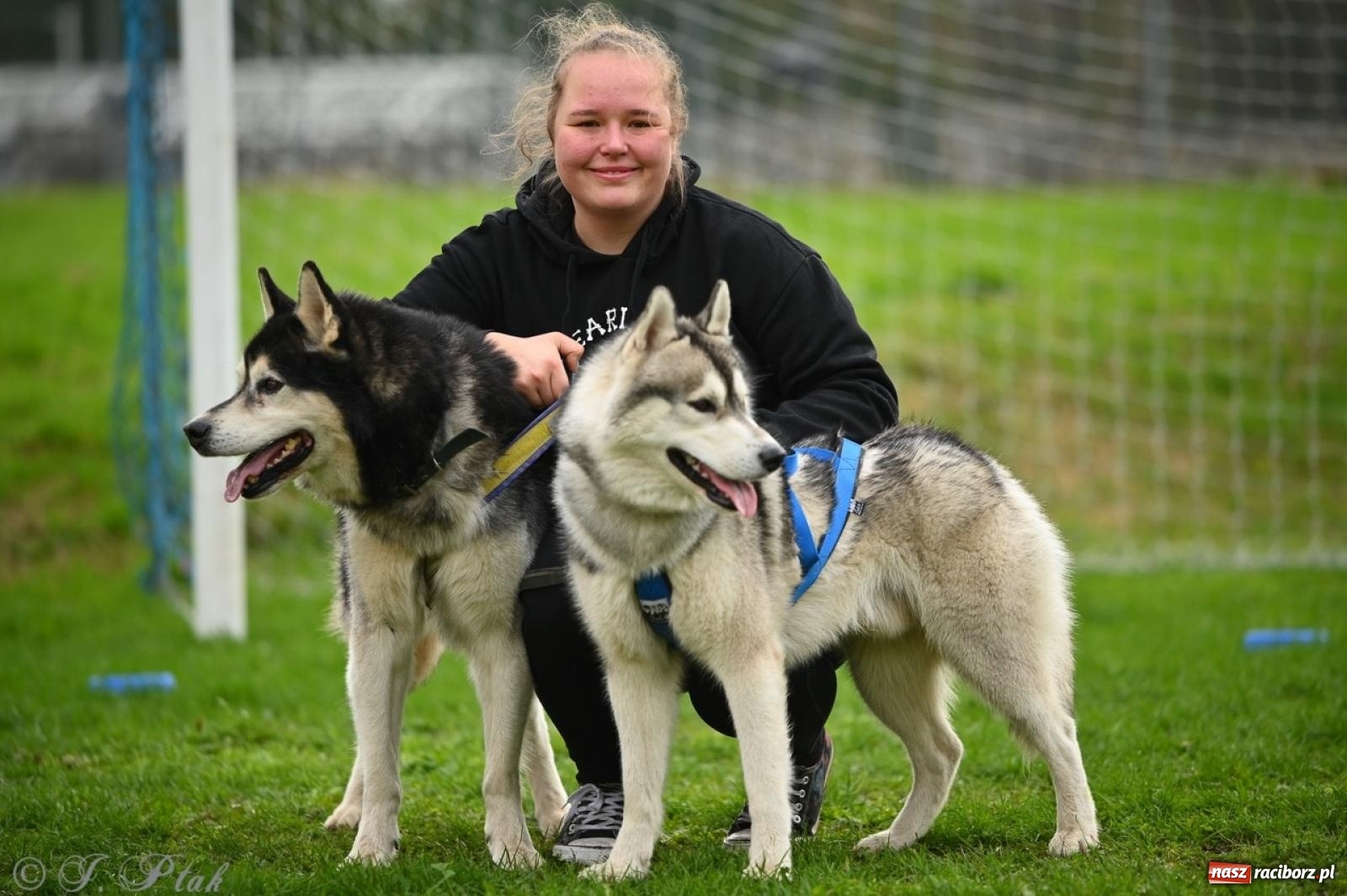 Zdjęcie w galerii na portalu naszraciborz.pl: Niedzielny dogtrekking. Bieg i spacer z psami wsparciem dla zwierząt OTOZ Animals wiadomości z regionu