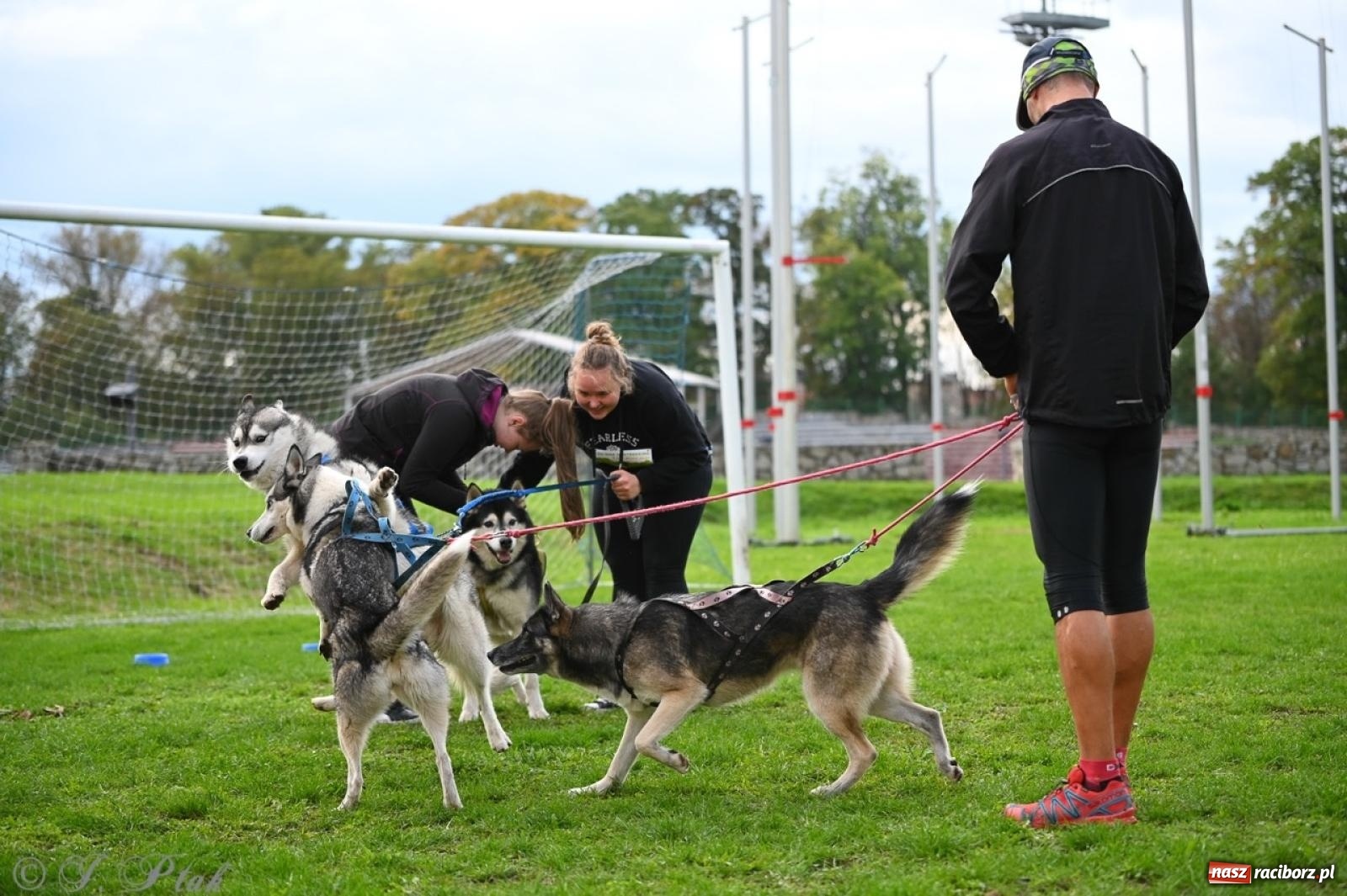 Zdjęcie w galerii na portalu naszraciborz.pl: Niedzielny dogtrekking. Bieg i spacer z psami wsparciem dla zwierząt OTOZ Animals wiadomości z regionu