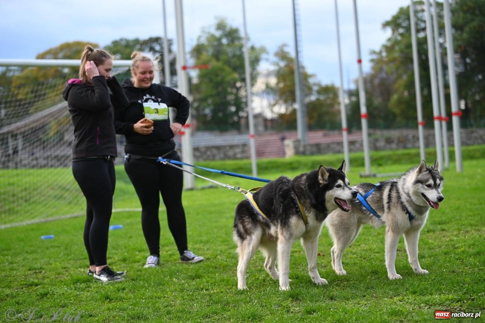 Zdjęcie w galerii na portalu naszraciborz.pl: Niedzielny dogtrekking. Bieg i spacer z psami wsparciem dla zwierząt OTOZ Animals wiadomości z regionu